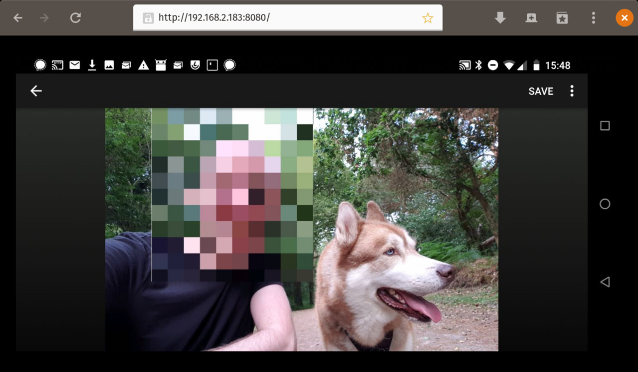 Gnome Web browser window showing a stream of the screen of my LineageOS phone from http://192.168.2.183:8080. The current app is called ObscuraCam and it's showing a photo of Oskar, our huskamute, and me. My face is pixellated by the app.