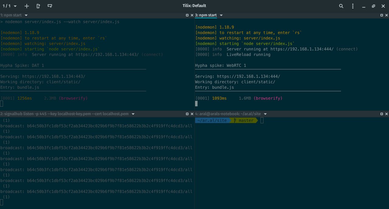 The DAT 1 spike, this spike, and signalhub running in three terminal windows tiled in quarters in Tilix (the fourth terminal window is empty at my site’s directory)