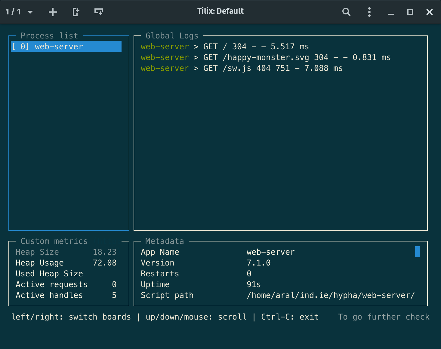 Screenshot of the pm2 process monitor showing the web-server running