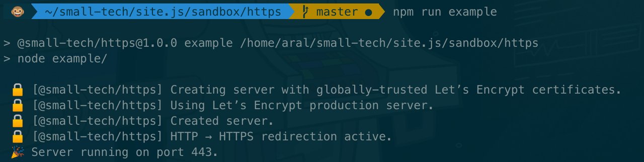 Screenshot of @small-tech/https example app running in terminal with locally-trusted TLS certificates