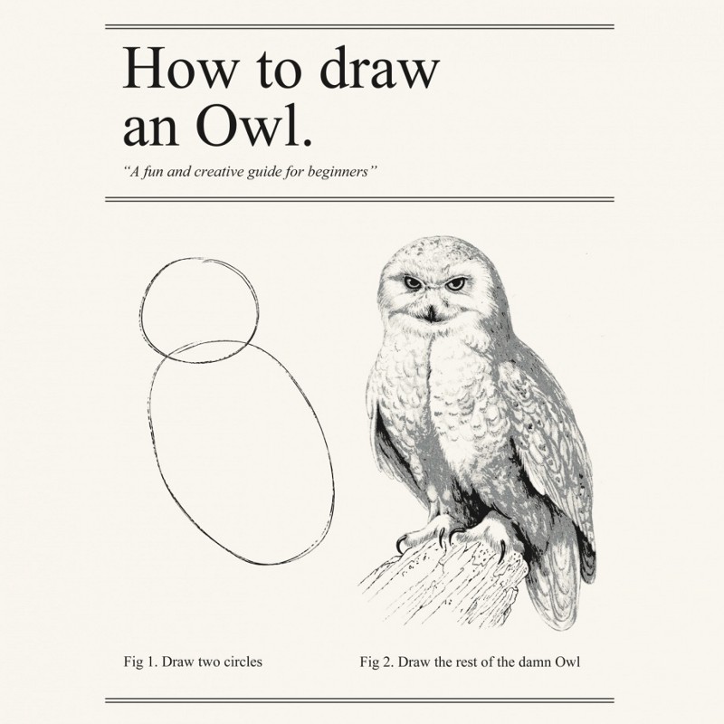 How to draw an owl: 1. draw some circles (two circles shown for the head and body of the owl) 2. draw the rest of the damn owl (with a beautifully draw owl in step 2)