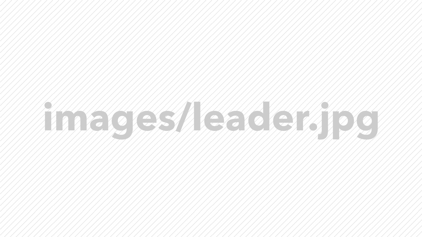 Leader image